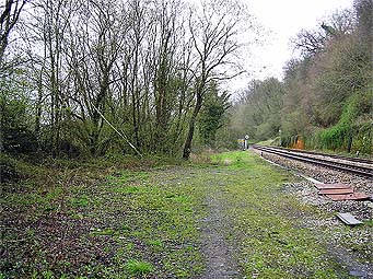 Chalford Shed